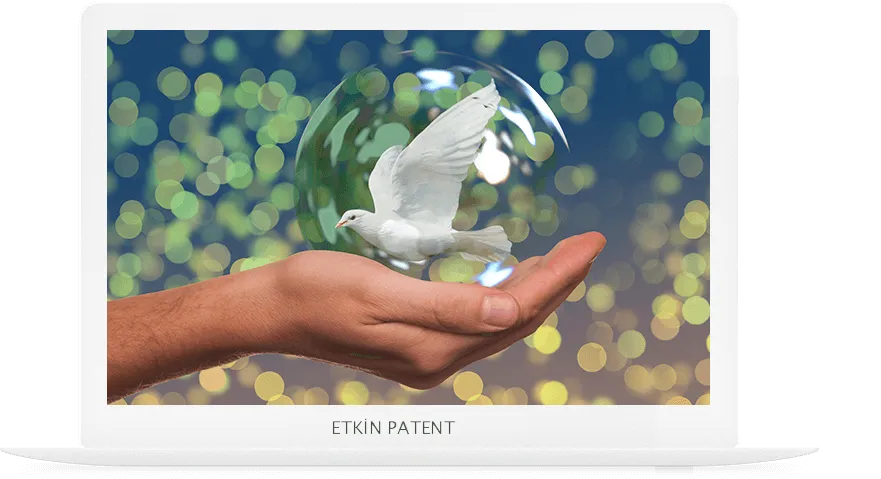faydalı model on koruma yöntemleri-düzce patent